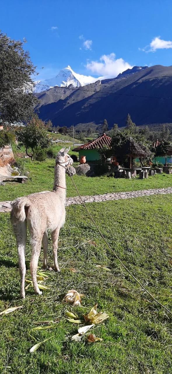 Tullpa Rumy Yungay Exterior foto